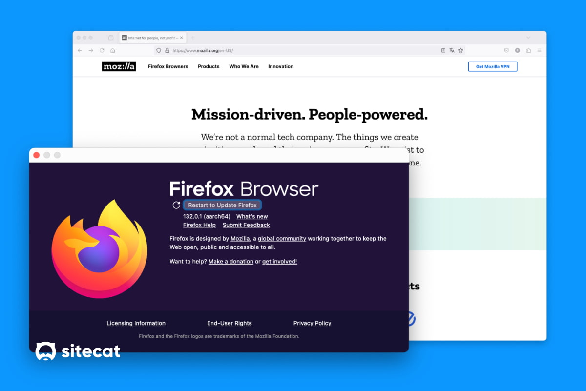 Чи варто використовувати Firefox в Україні: відгуки, актуальність, огляд